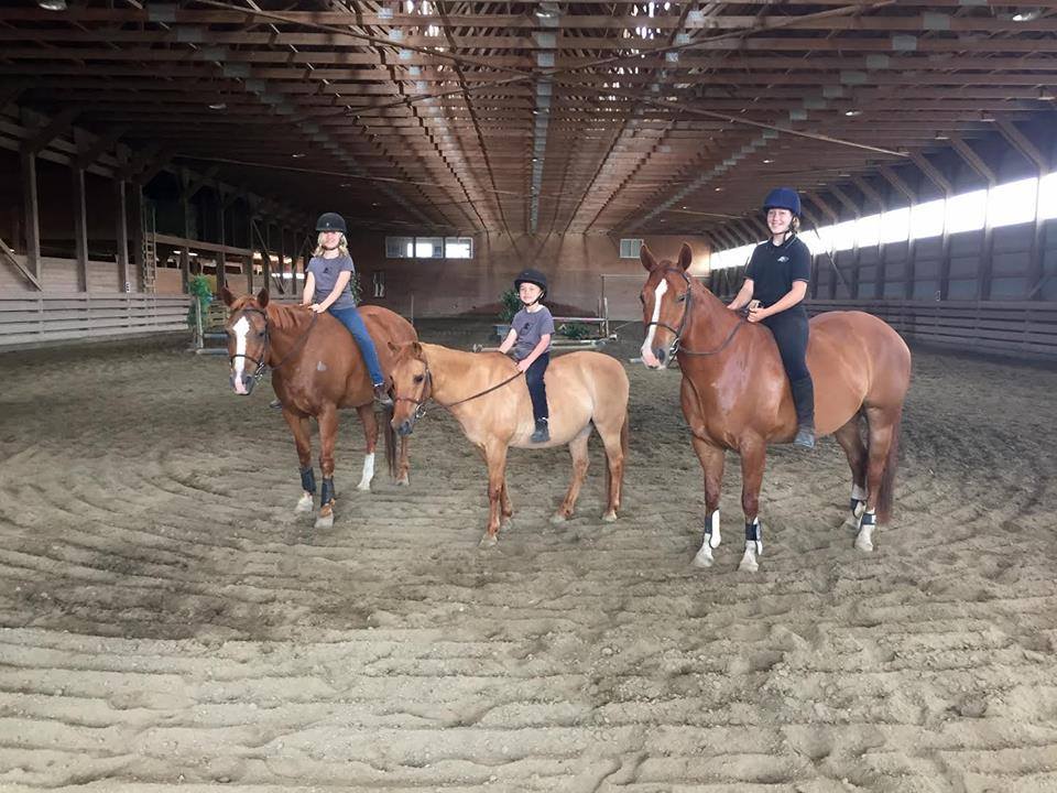 Summer Riding Camp, Pony Camp, Horse Camp Twin Rivers Equestrian Centre